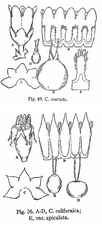 9026 drawings - Why are we doing this?