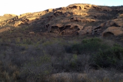 Habitat of Ipomoea seaania; Photo credit: Curtis L. Smith