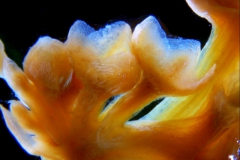 _untitled__1465__10_