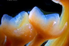 _untitled__1465__11_