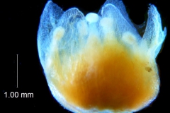 _untitled__1465__14_