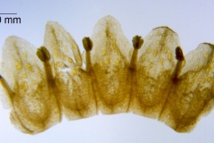 _untitled__1465__28_