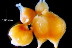 _untitled__1465__39_