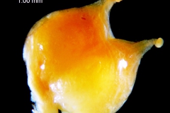 _untitled__1465__40_