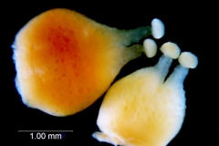 _untitled__1465__41_