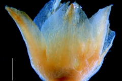 _untitled__14548__10_