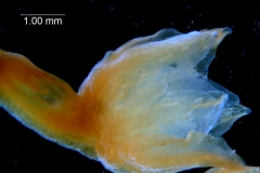 _untitled__14548__11_