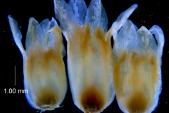 _untitled__14548__12_