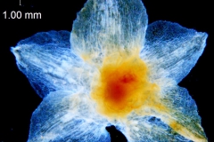 _untitled__14548__15_