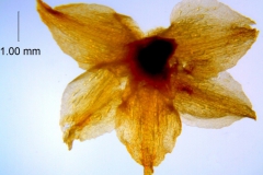 _untitled__14548__17_