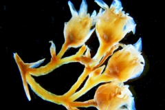 _untitled__14548__1_