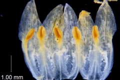 _untitled__14548__26_