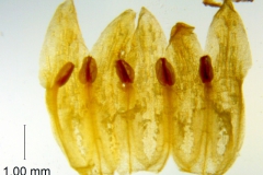 _untitled__14548__27_