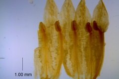 _untitled__14548__28_