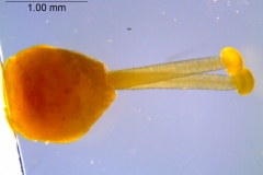 _untitled__14548__38_