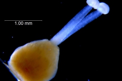 _untitled__14548__39_