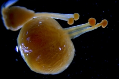 _untitled__14548__40_