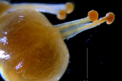 _untitled__14548__41_