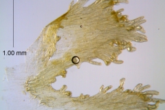 _untitled__14548__44_