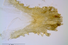 _untitled__14548__45_