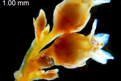 _untitled__14548__5_