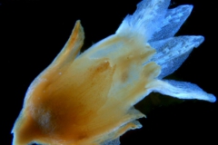 _untitled__14548__9_