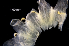 _untitled__2465__12_