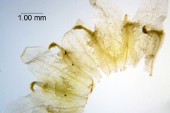 _untitled__2465__13_