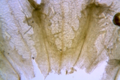 _untitled__2465__14_