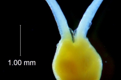 _untitled__2465__15_