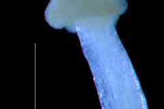 _untitled__2465__17_