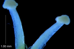 _untitled__2465__18_