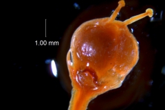 _untitled__2465__19_