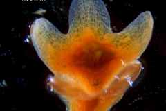 _untitled__2465__20_