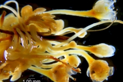 _untitled__2465__22_