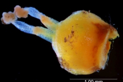 _untitled__1123__10_