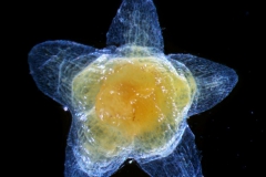 _untitled__1123__11_