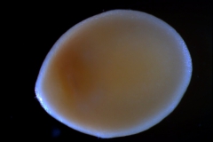 _untitled__1123__13_