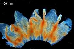 _untitled__1123__14_