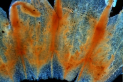 _untitled__1123__15_