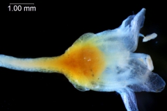 _untitled__1123__16_