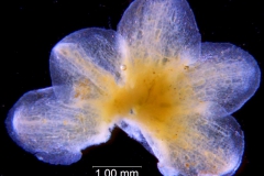 _untitled__11321__10_