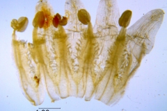 _untitled__11321__15_