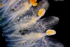 _untitled__11321__17_