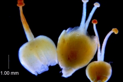 _untitled__11321__26_