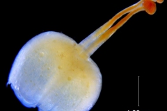 _untitled__11321__27_