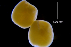 _untitled__11321__28_