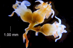 _untitled__11321__2_