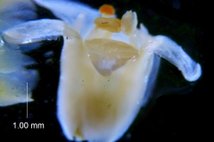 _untitled__11321__7_