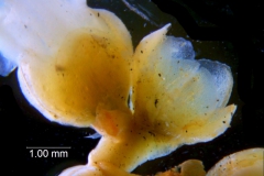 _untitled__11321__8_